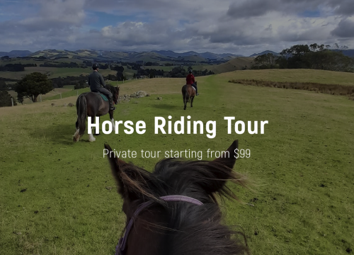 Horse Riding Tour